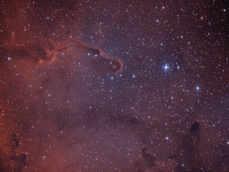 ic1396-Elefantenrüssel Nebel