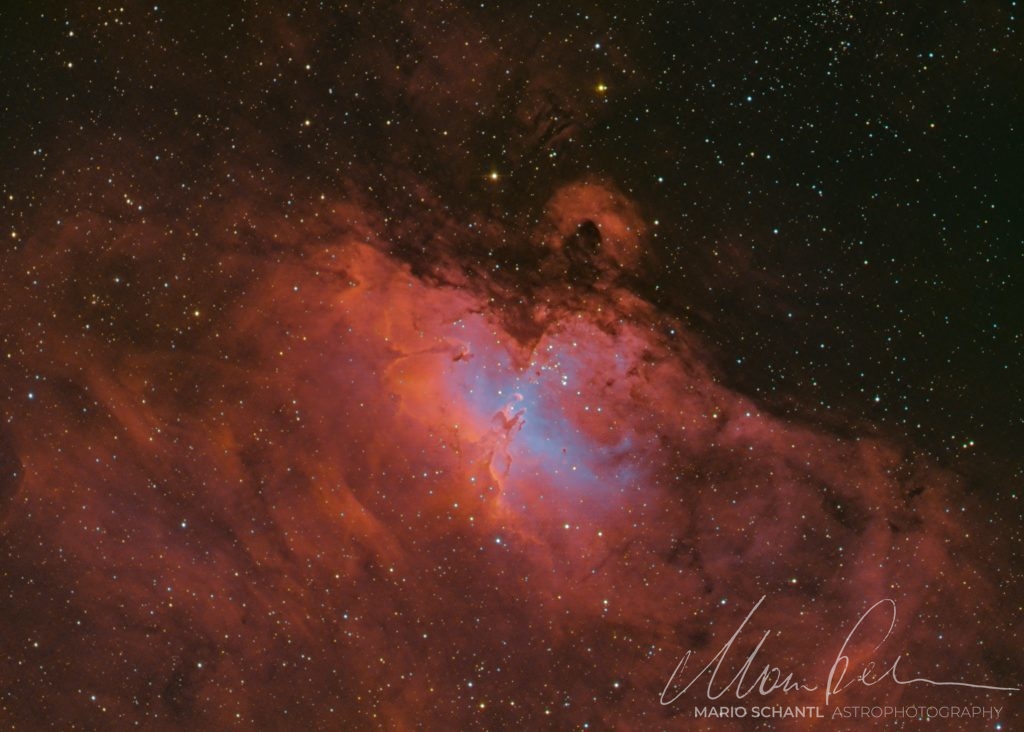 M16 Adlernebel Bicolor