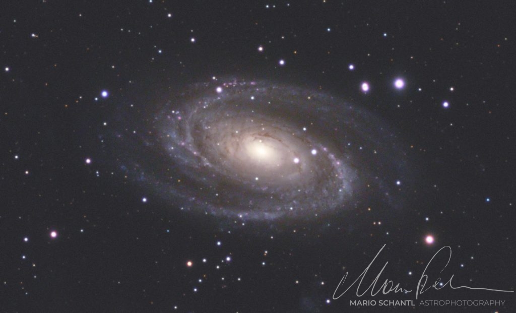 M81-100prozent